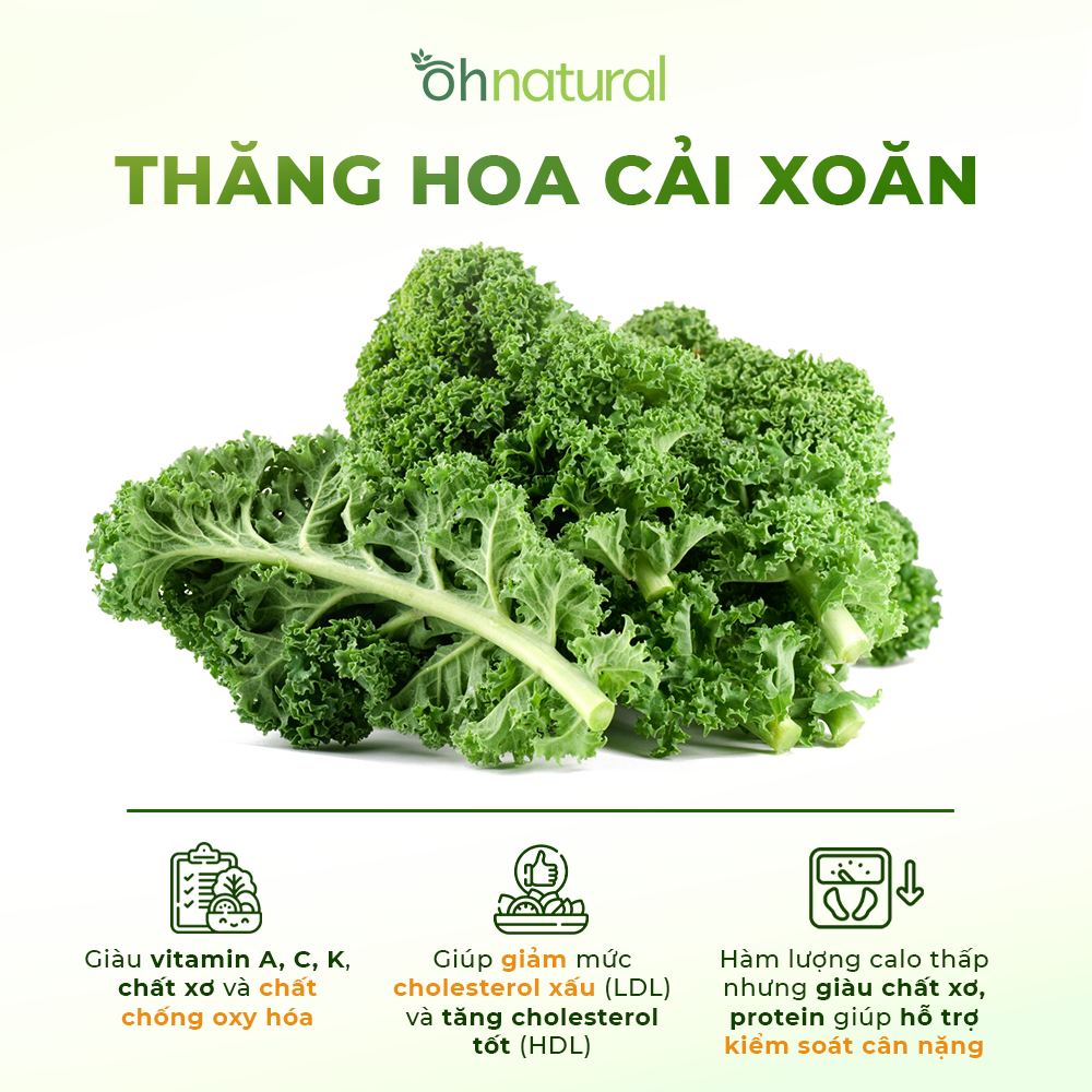 thuc_pham_chuc_nang_thanh_nhiet_giai_doc_cai_xoan_huu_co_oh_natural