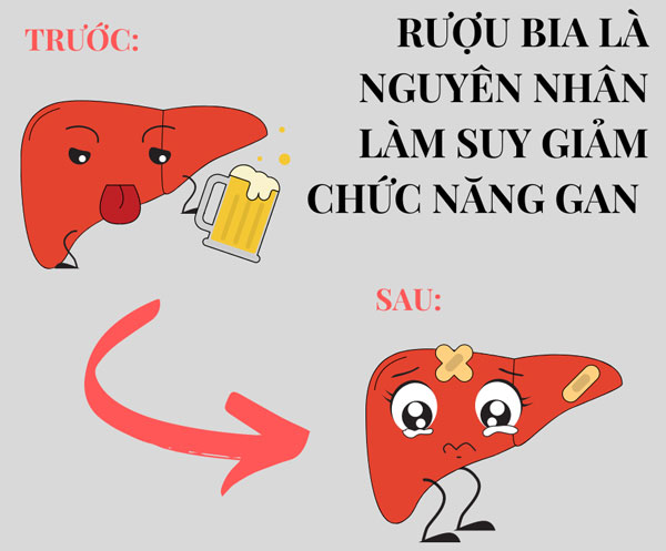 ruou_bia_gay_suy_giam_chuc_nang_gan